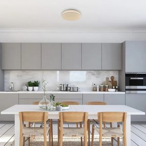 Plafonieră LED Rabalux 71182 TREVOR LED/18W/230V 3000K d. 33 cm