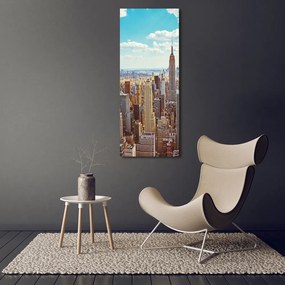 Print pe pânză New York pasăre de zbor