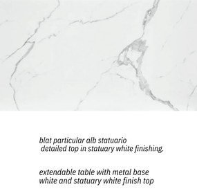 MASA BIANCO STATUARIO - STICLA CERAMICA CU  PICIOR METALIC - ALB