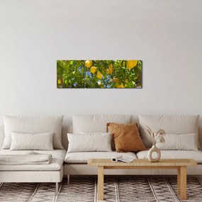 Tablou - Lămâiță (cu ceas) (90x30 cm)