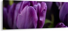 Tablou cu flori de lalele (120x50 cm)