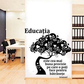 Sticker perete Educatia este cea mai buna provizie