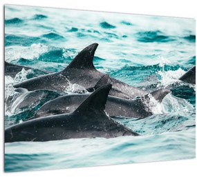 Tablou - Delfini în ocean (70x50 cm), în 40 de alte dimensiuni noi