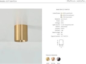 Spot aplicat bronz LED BABIL 10W CCT