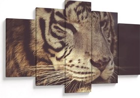 Tablou cu tigrul (150x105 cm)