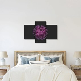 Tablou cu floare violetă (90x60 cm)