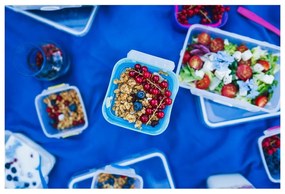 Cutie pentru prânz cu tacâmuri Vialli Design, 650ml+230m, albastru