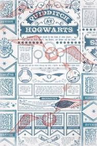 Poster de artă Harry Potter - Quidditch at Hogwarts