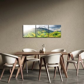 Tablou plantație (cu ceas) (90x30 cm)