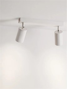 Plafoniera cu 2 Spoturi directionabile minimalista REIG, NVL-9011535