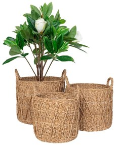 Coșuri de depozitare 3 buc. din iarbă-de-mare ø 32x30 cm Krabi – House Nordic