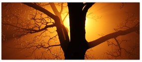 Tablou cu copac în apus de soare (120x50 cm)