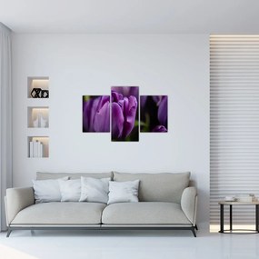 Tablou cu flori de lalele (90x60 cm)
