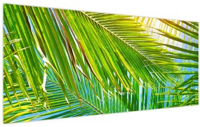 Tablou - Frunze de palmier (120x50 cm)