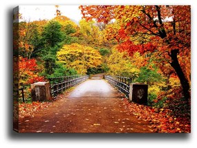 Tablou Tablo Center Autumn Bridge, 70 x 50 cm