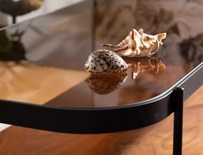 Masa de cafea Prima A chihlimbar transparent/nuc L120 cm