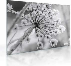 Tablou pe sticlă - Floare în timpul iernii (70x50 cm)