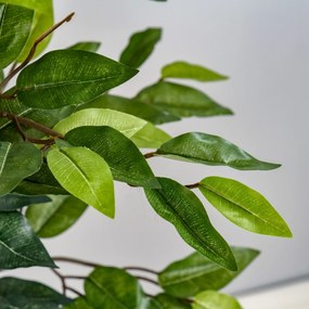 HOMCOM Plantă Ficus Falsă, Plantă Înaltă de 150cm, Plantă Artificială Decorativă pentru Interior și Exterior, Ø17x14.5 cm, Verde | Aosom Romania