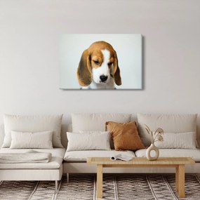 Tablou cu bigl (90x60 cm)