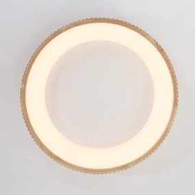Brilagi - Plafonieră LED FALCON WOOD MODERN, 40W, 230V, Ø 60 cm, cu finisaj lemn