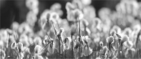 Tablou - Pajiște de vară (120x50 cm)