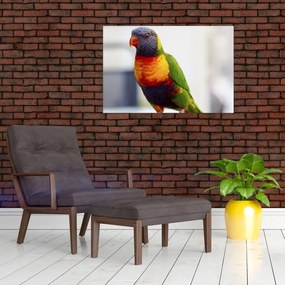 Tablou cu papagal (90x60 cm)
