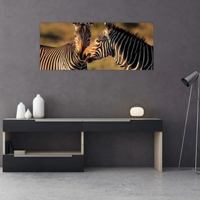 Tablou - Două zebre (120x50 cm)