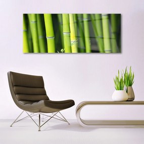 Tablou pe sticla Bamboo Natura Verde