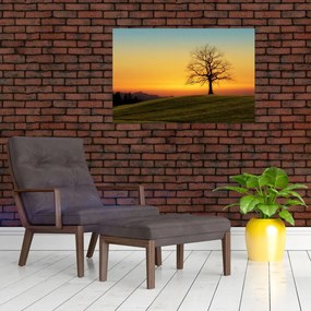 Tablou - Copacul în câmp (90x60 cm)