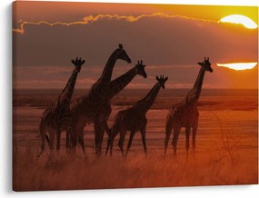 Tablou - Girafe în savana africană (70x50 cm)