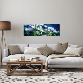 Tablou - Margarete (cu ceas) (90x30 cm)