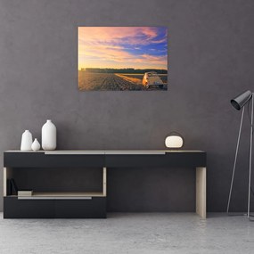 Tablou pe sticlă - Mașină galbenă ăn câmp (70x50 cm)
