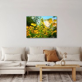 Tablou - Flori galbene (70x50 cm)