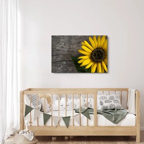Tablou - Floare de floarea soarelui (90x60 cm)