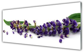Tablou pe sticla Petale Floral Verde Violet