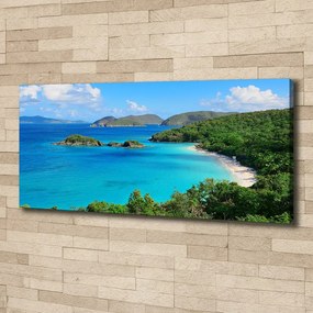 Imprimare tablou canvas Insulele virgine