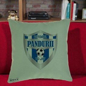 Perna Personalizata Pandurii Targu Jiu Fotbal, 40x40 cm, Verde, Husa Detasabila, Perna Inclusa, BEKZ®