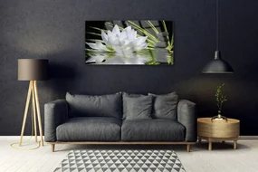Tablou pe sticla Pietrele de flori Apă Floral Alb Negru