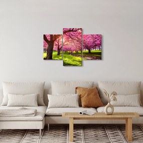 Tablou - Cireși înfloriți, Hurd Park, Dover, New Jersey (90x60 cm)