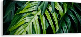 Tablou - Frunze tropicale (120x50 cm)
