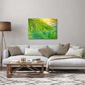 Tablou - Frunze de palmier (70x50 cm)