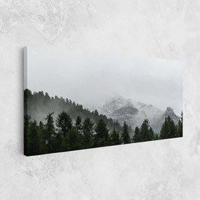 Tablou Canvas, 60x120cm, Dormitor si Living, Peisaje, Paduri, Foggy Mountain Forest