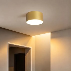 BRILAGI - Plafonieră LED pentru baie FORIS LED/14W/230V Ø 12 cm aurie IP4