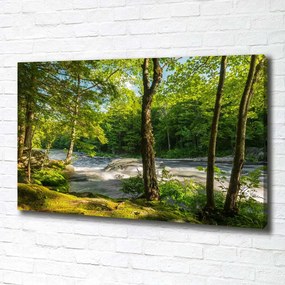 Print pe canvas Râul în pădure