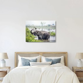 Tablou pe sticlă - Elefant de scăldat (70x50 cm)