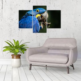 Tablou cu papagal (90x60 cm)