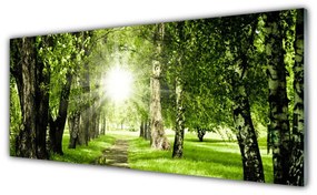 Tablouri acrilice Forest Soare Potecă Natura Brun Verde Galben