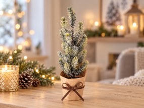 Bradut decorativ de Craciun FROSTY TREE in ghiveci 22 cm