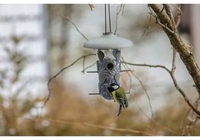 Hrănitor de păsări Plastia Robin, antracit