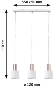 Lustră pe cablu 3xE14/20W NEORDIC HALDAR 230V Paulmann 79657